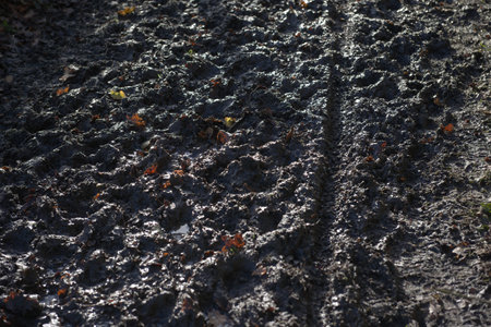 High contrast sunny scene of thick, deep and squelchy mud. Full frame abstract texture littered with autumn leaves. Bike tyre track cuts through.の写真素材