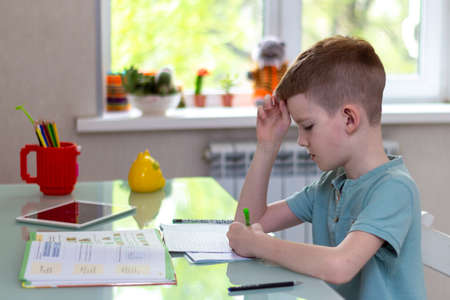 Distance learning online education. Schoolboy studying at home and doing school homework. Sitting chair with training booksの写真素材