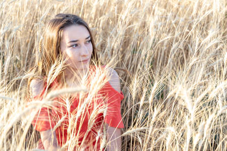 Beautyful young women sitting in wheat fieldの写真素材