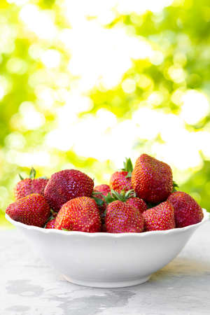 Strawberry in white plate on green backgroundの写真素材