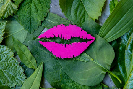Bright pink lips on fresh green leavesの写真素材