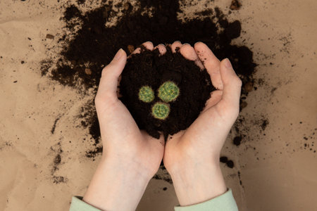 Hands holding soil with succulent plant, National houseplant appreciation day. Earth day, soil day concept.の写真素材