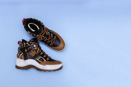 Women shoes brown leopard print on blue background. Stylish trendy spring female boots. shopping concept. Close up.の写真素材