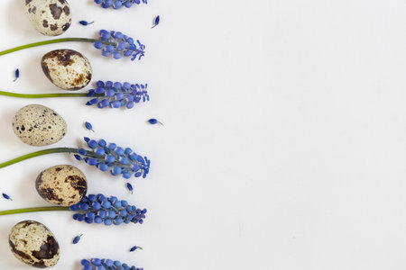 Quail eggs and fresh blue spring flowers. White textile background. Happy easter concept, flat lay, copy spaceの写真素材