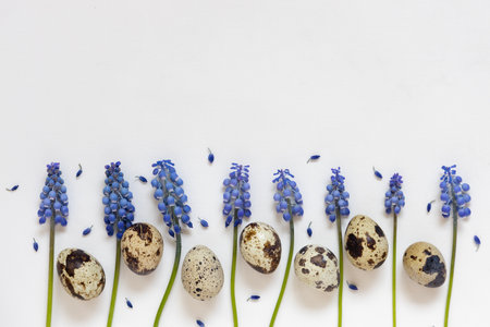Easter quial eggs and fresh blue spring flowers composition. White background. Easter concept, flat lay, copy spaceの写真素材