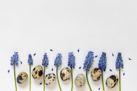 Easter quail eggs and fresh blue spring flowers composition. White background. Easter concept, flat lay, copy spaceの写真素材