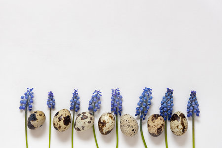 Quail eggs and fresh spring flowers. White background. Happy easter concept, flat lay, copy space.の写真素材