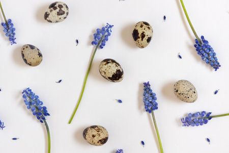 Easter eggs and flowers pattern. White background. Happy easter concept, flat lay, copy spaceの写真素材