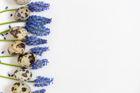 Easter quail eggs and fresh spring flowers muscari. White textile background. Happy easter concept, flat lay, copy spaceの写真素材
