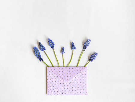 Fresh spring flowers muscari and pink paper envelope with golden dots in the center. For holiday project. Mothers dayの写真素材