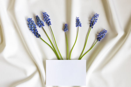 Beautiful spring flowers composition. blue flowers with blank card white folded background. Flat lay, top view, copy space. Mothers day concept.の写真素材
