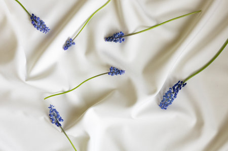 Beautiful blue muscari flowers pattern on white folded background. Minimalistic floral concept. Creative still life spring, summer backgroundの写真素材