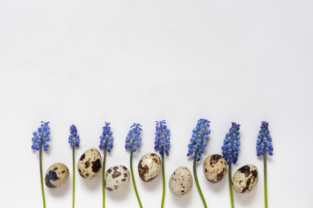 Easter quial eggs and fresh blue spring flowers. White background. Happy easter concept, flat lay, copy space.の写真素材