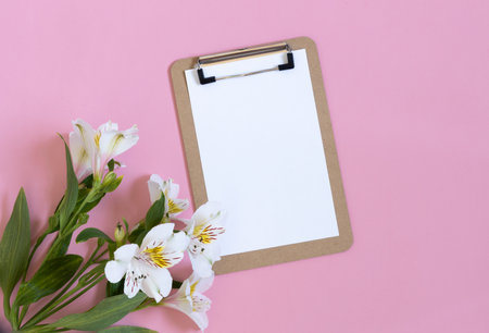 Doctors day. Fresh flowers and medical equipment on pink background. Congratulation for nurse day, space for text.の写真素材