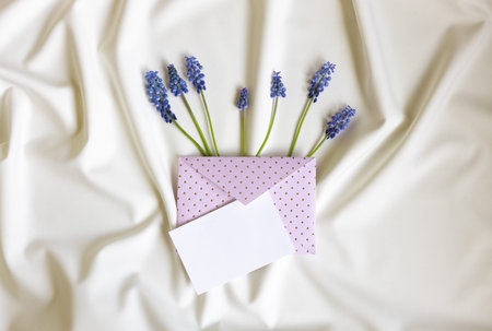 Blue muscari under envelope on white folded background. Valentines, mothers day, wedding or spring...