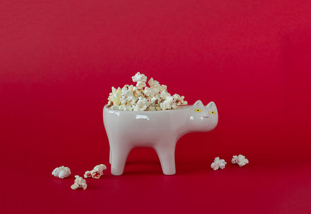 National popcorn day concept. Bowl full of popcorn. Leisure idea. Copy space.の写真素材