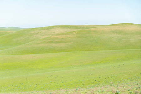 Field landscape in Kazakhstan steppeの写真素材
