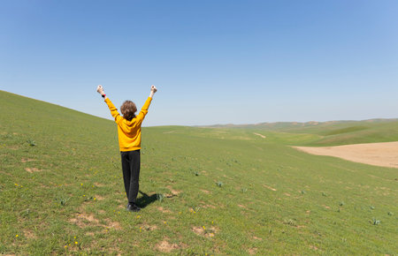 Back view of cheerful boy in the field with hands up, green field and blue sky view behind. Facelessの写真素材