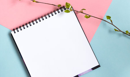 Mock up of empty spiral scketchbook with white paper on pastel pink and blue background. Twig with fresh leaves. Spring template.の写真素材