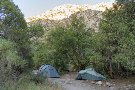 Camping and tent under the forest in sunset at south Kazakhstan. Sairamsu mountains and morning in forest with camping in the mist.の写真素材