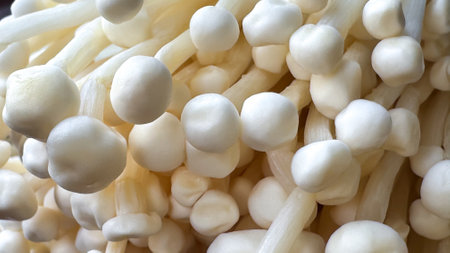 A close-up of enoki mushrooms filling the frame. The soft, delicate texture and flowing organic shapes create a natural background perfect for food-themed designs and backdropsの写真素材