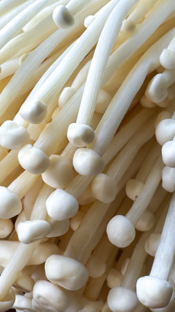 A detailed close-up of enoki mushrooms filling the entire frame. Their soft, flowing structure and natural texture make them an ideal organic backdrop for creative designs.の写真素材