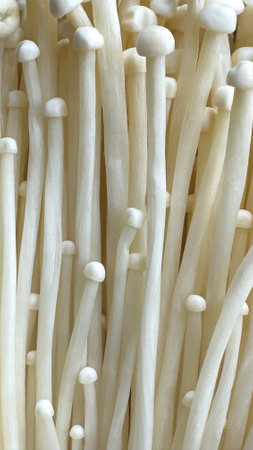 Close-up of enoki mushrooms forming a seamless organic texture. The delicate white stems and caps create a soft, minimalist background for food and nature-themed visuals.の写真素材