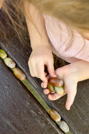 Children playing with acorns outdoors, close-up hands.の写真素材