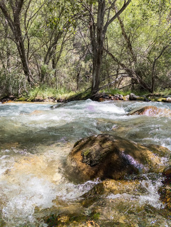 Tranquil mountain river flowing through forest with large rocks.の写真素材
