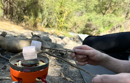 Boy roasting marshmallows on a portable gas stove during picnic, copy space.の写真素材
