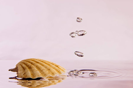 Sea Shell with Bubbles falling to surface of water with ripples