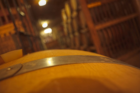 Very old cellar with focus on the barrel strip in foreground