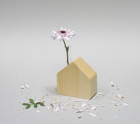 Flower on the roof of a toy wooden houseの写真素材