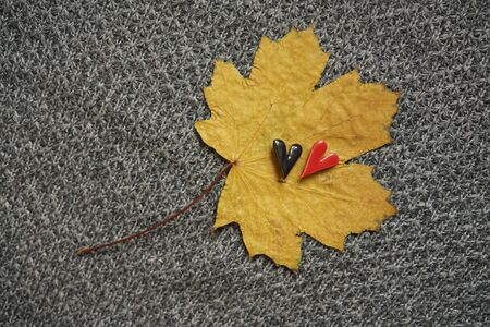 Two hearts black and red on autumn foliage lying on a woolen sweater, World Kindness Day the 13th of November.の写真素材