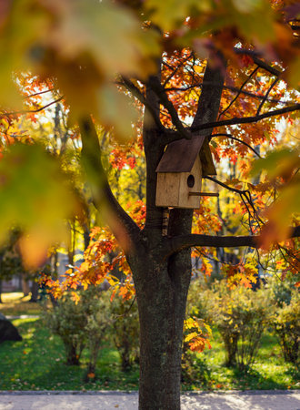 Birdhouse hidden in colorful foliage on a sunny autumn dayの写真素材