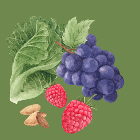 Watercolor illustration of black and red grapes, raspberries and almond nutsの写真素材