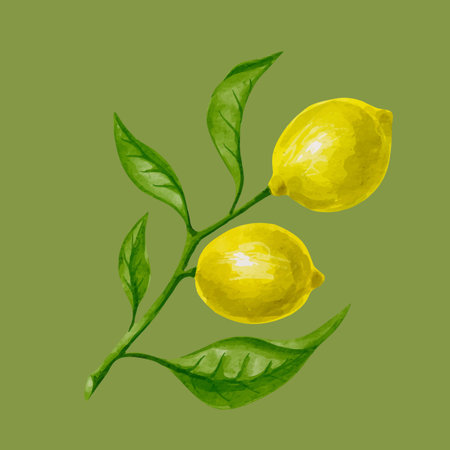 Watercolor lemon branch with leaves and fruits on green background. Vector illustration.の写真素材