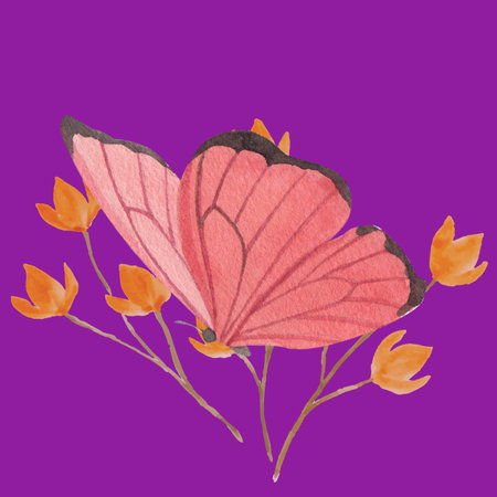 Watercolor illustration of a butterfly with flowers on a purple background.の写真素材