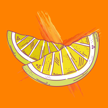 Vector illustration of orange slice on orange background. Hand drawn citrus fruit.の写真素材
