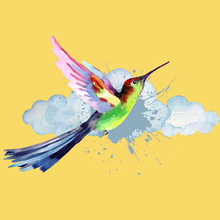 Watercolor colibri bird in the clouds. Vector illustration.の写真素材