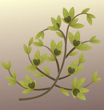olive brunch  vector illustrationのイラスト素材
