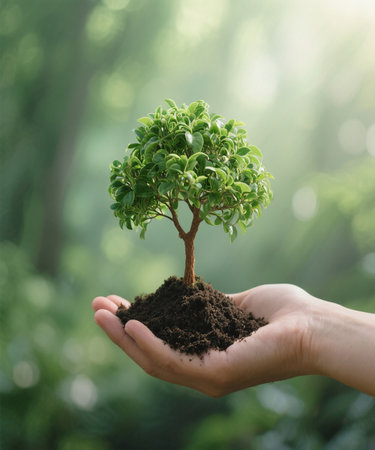 Hands holding a small tree with soil on blurred nature background.の素材