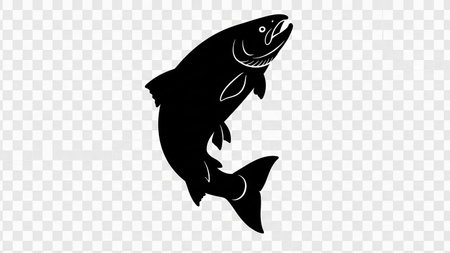 Simple black illustration of a salmon jumping out of water, isolated on transparent background.の素材