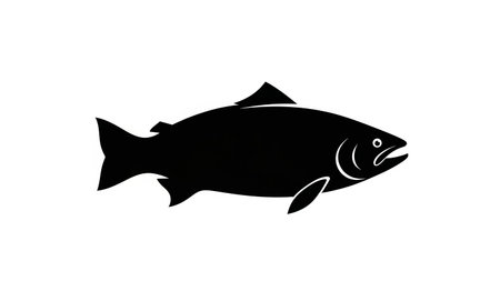Simple black silhouette of a salmon fish on a white backgroundの素材