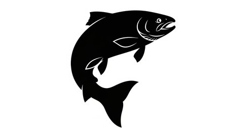 Graphic illustration of a salmon fish jumping out of water, depicted in black silhouette against a white background.の素材