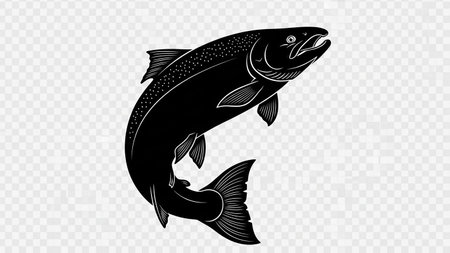 Detailed black and white illustration of a salmon fish jumpingの素材