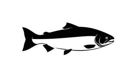 Simple black and white illustration of a salmon fishの素材
