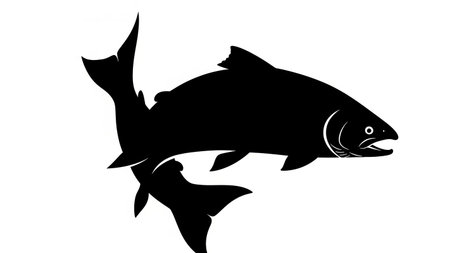 Black silhouette of a salmon fish with open mouth against a white backgroundの素材