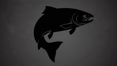 Black silhouette of a salmon fish against a gray background, showcasing its sleek body and fins.の素材