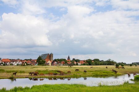 River Sideのeditorial素材